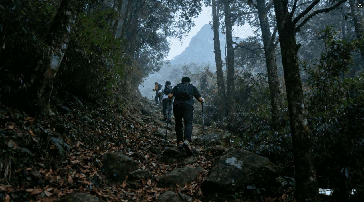 Ins加速器软件下载指南详解